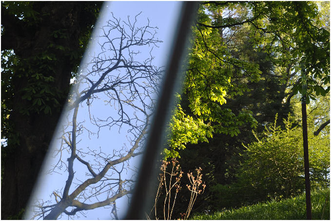 Michael Trepel, F&auml;den