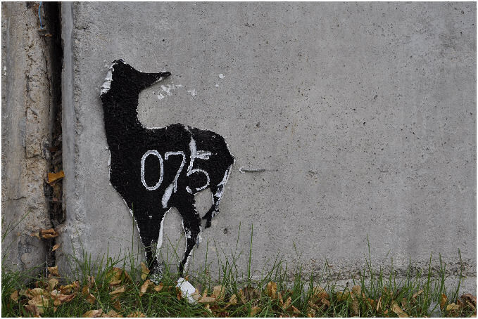 Michael Trepel, bambi in berlin