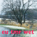 EU TMR Project: WET