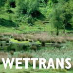 Bewertungssystem N-Retention