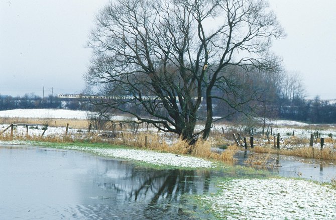 eidertal photo trepel